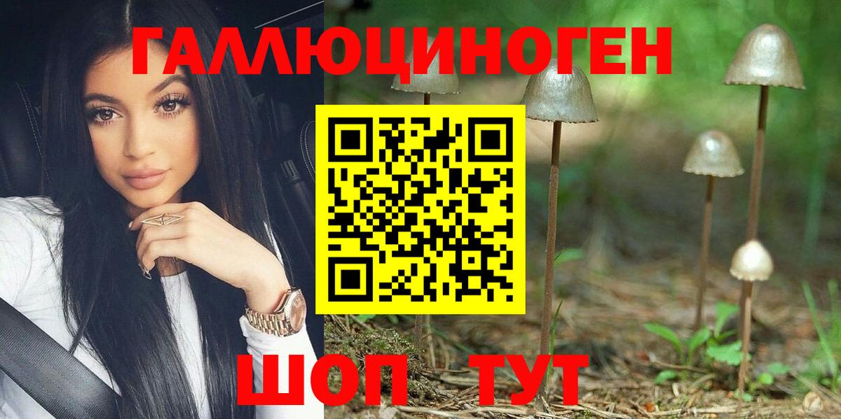 Прокопьевск  Псилоцибиновые грибы Magic Shrooms  Вход с VPN 
